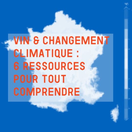 Changement climatique et vin : 6 ressources pour tout comprendre