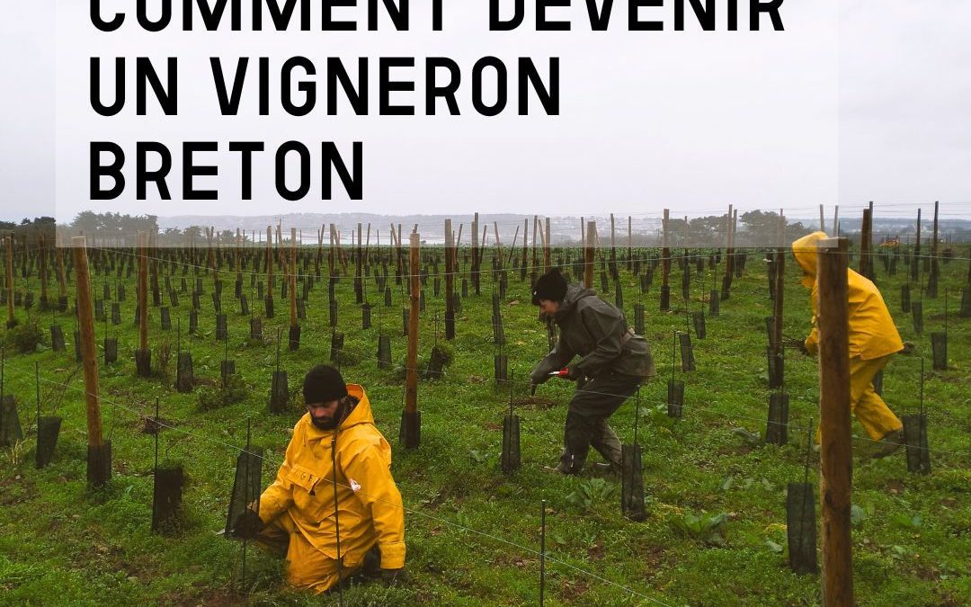 Comment devenir vigneron en Bretagne ?
