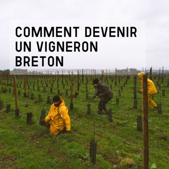 Comment devenir vigneron en Bretagne ?