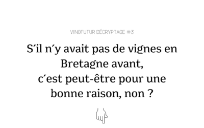 Décryptage #3 : s’il n’y avait pas de vignes en Bretagne administrative avant, c’est peut-être pour une bonne raison, non ?