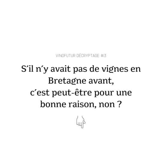 Décryptage #3 : s’il n’y avait pas de vignes en Bretagne administrative avant, c’est peut-être pour une bonne raison, non ?