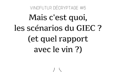 Décryptage #5 : Le Giec et le vin, ou le rapport entre les courbes du CO2 et votre bouteille de rosé