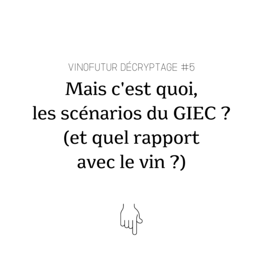 Décryptage #5 : Le Giec et le vin, ou le rapport entre les courbes du CO2 et votre bouteille de rosé