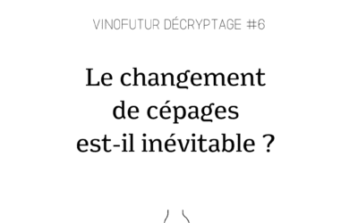 Décryptage #6 : le changement de cépages est-il inévitable ?