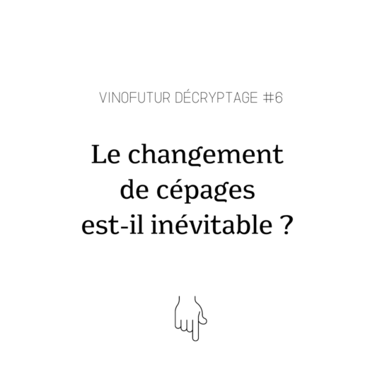 Décryptage #6 : le changement de cépages est-il inévitable ?