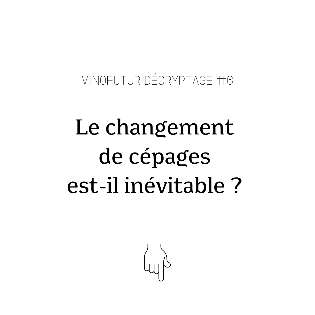 Le changement de cépage est-il inévitable ?