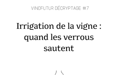 Décryptage #7 : Irrigation de la vigne, quand les verrous sautent