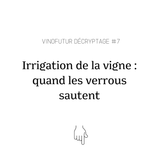 Décryptage #7 : Irrigation de la vigne, quand les verrous sautent