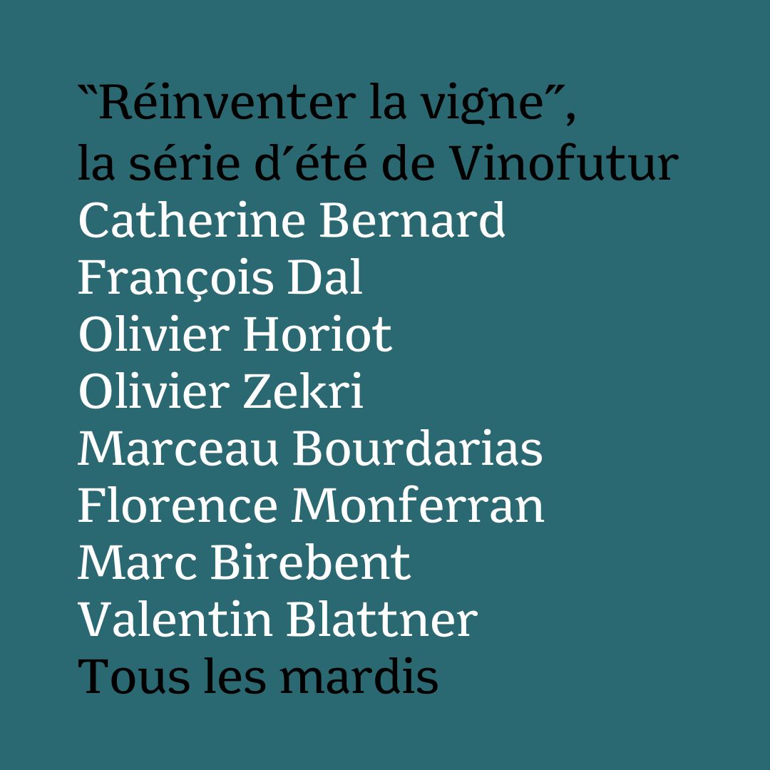 réinventer la vigne, sommaire