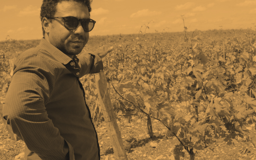 Olivier Zekri : « La vigne de 100 ans sera probablement une nouvelle variété conçue pour résister à tous les agresseurs. »