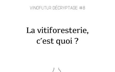 Décryptage #9 : l’agrovoltaïsme ou les panneaux solaires sur les vignes, comment ça marche ?