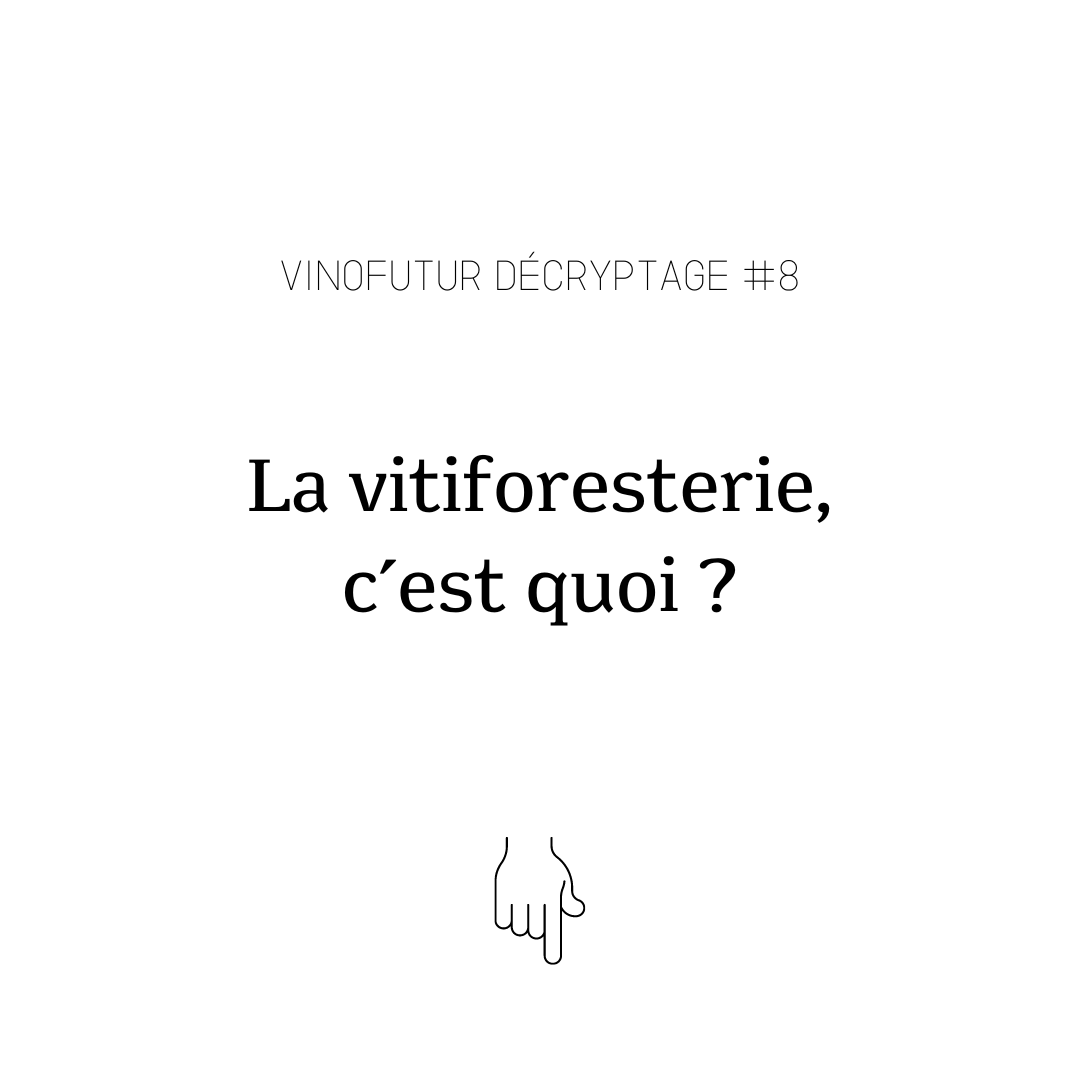 La vitiforesterie, c'est quoi ?