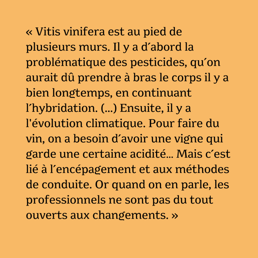 François Dal : « Les obstacles auxquels la viticulture fait face ne sont pas techniques, mais politiques et psychologiques. »