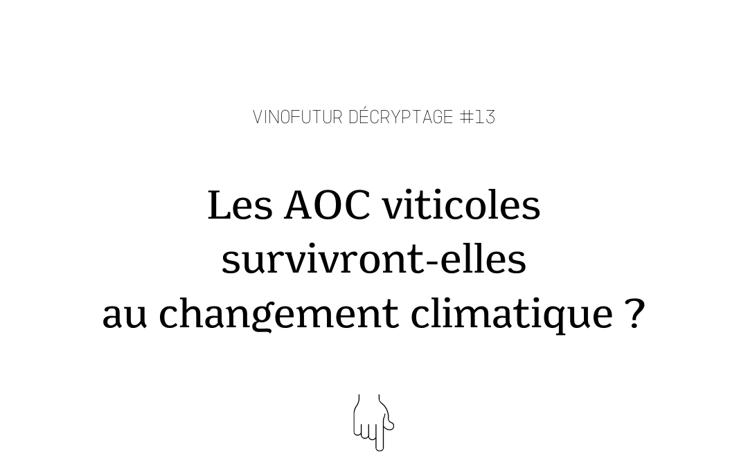 Décryptage #13 : Les AOC viticoles peuvent-elles survivre au changement climatique ?