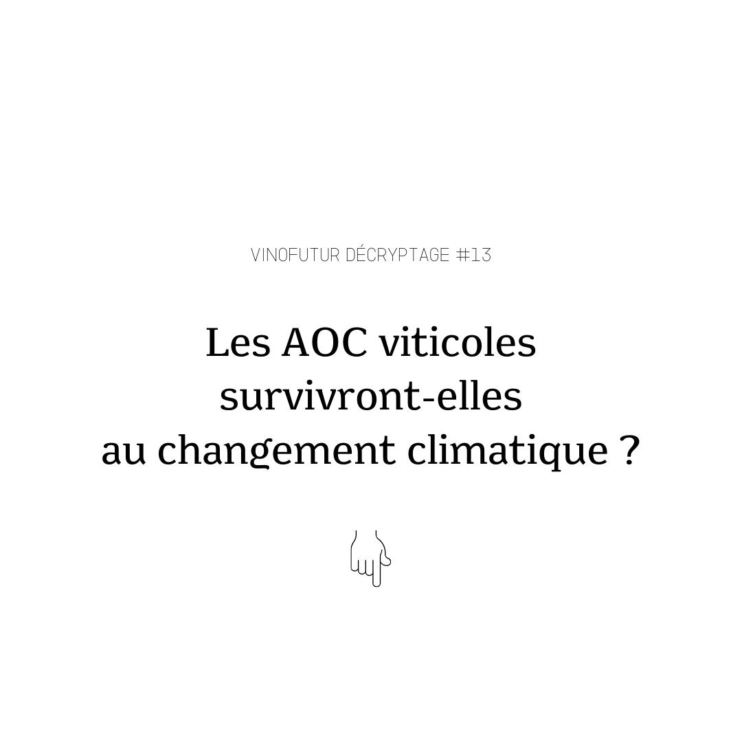 Les AOC viticoles peuvent-elles survivre au changement climatique ?