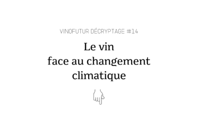 Décryptage #14 : Le vin face au changement climatique