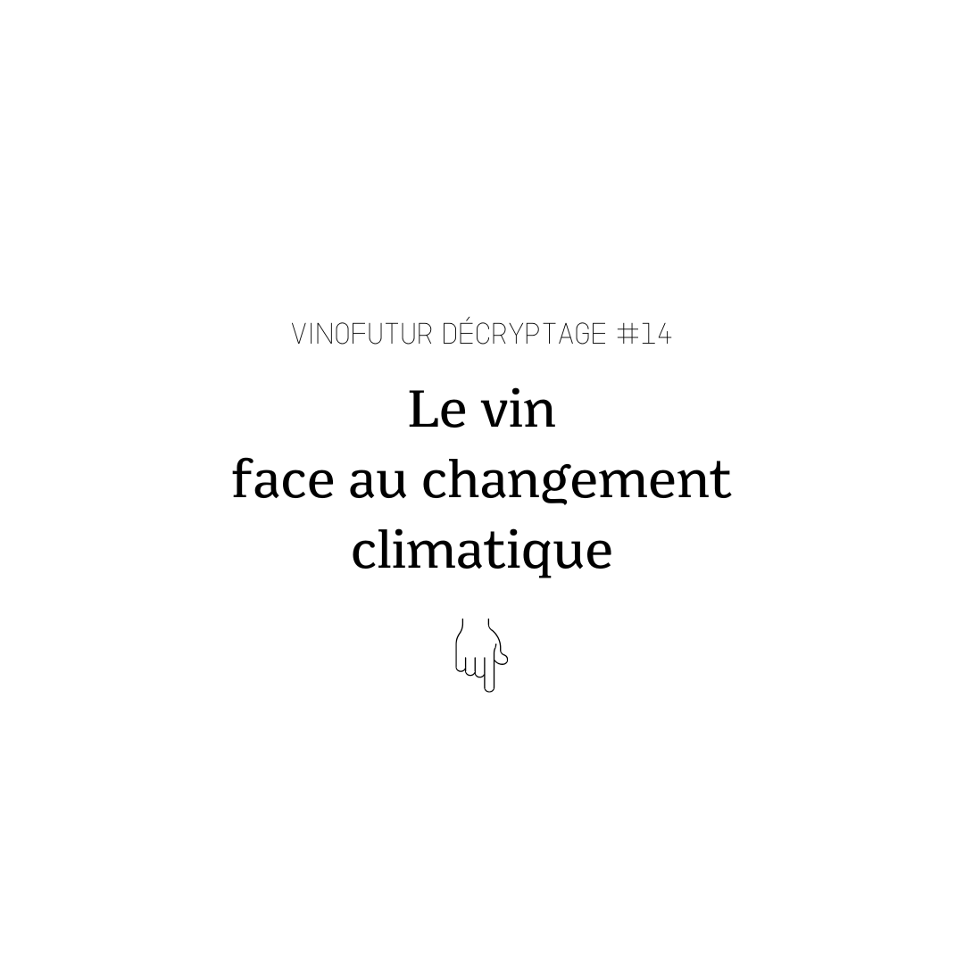 Le vin face au changement climatique