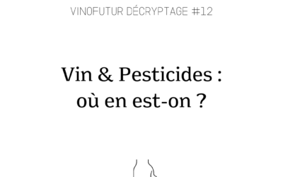 Décryptage #12 : Vignoble et pesticides, ce qu’il faut savoir