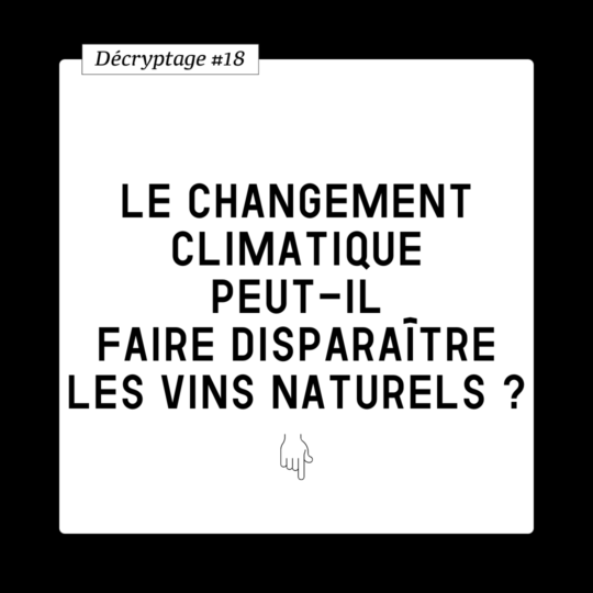 Décryptage #18 Le changement climatique peut-il faire disparaître les vins naturels ?