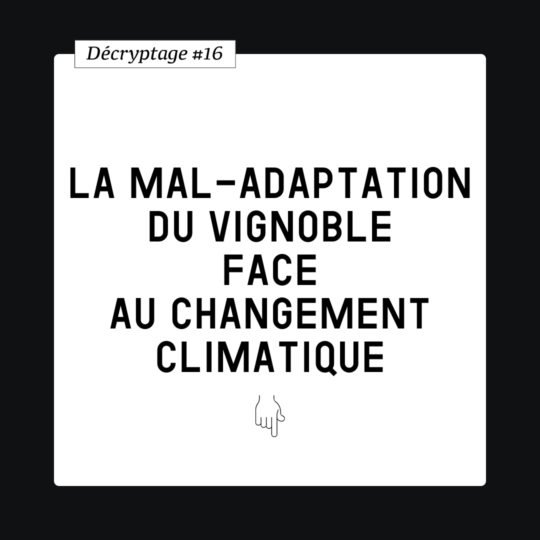 Décryptage #16 : Mal-adaptation, un concept à diffuser dans le vignoble