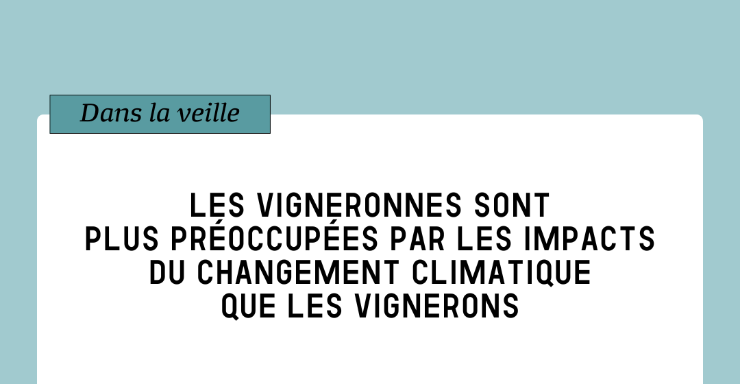 Les vigneronnes plus préoccupées par le changement climatique que les vignerons