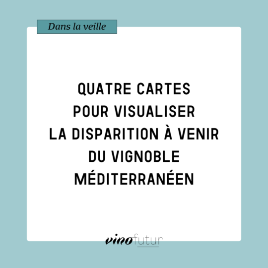 Veille. Quatre cartes du vignoble pour visualiser les impacts du changement climatique à venir